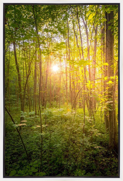 Sweet Hour of Prayer