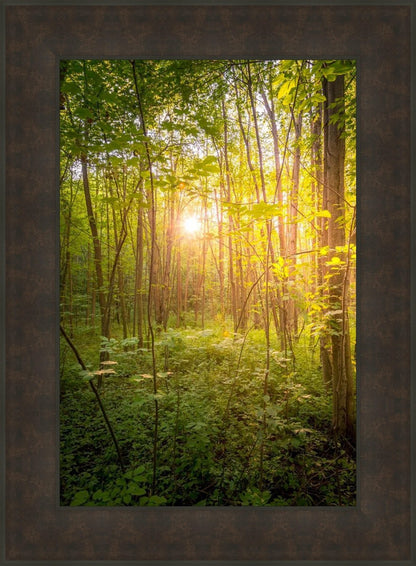 Sweet Hour of Prayer