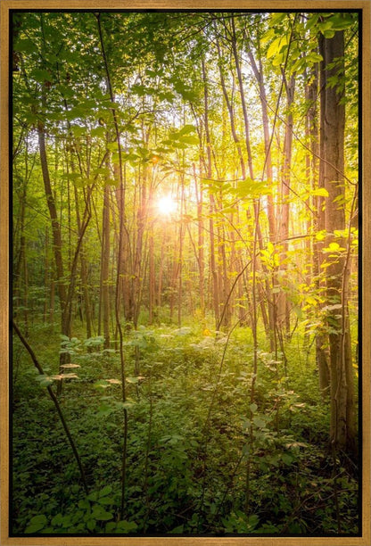 Sweet Hour of Prayer