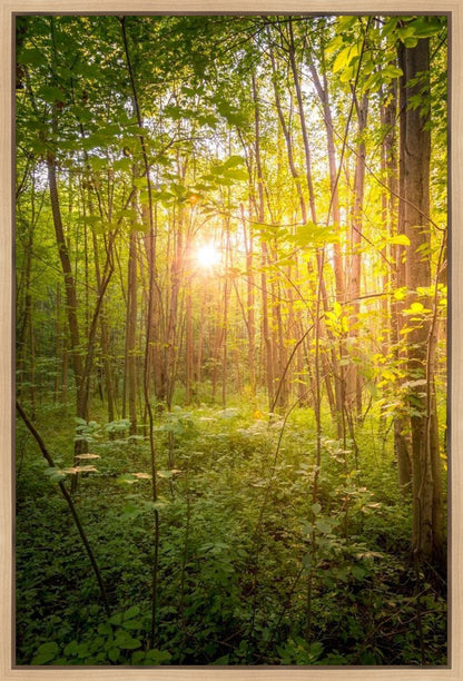 Sweet Hour of Prayer