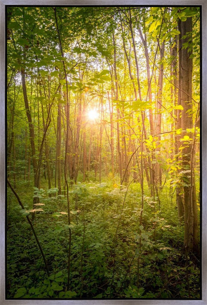 Sweet Hour of Prayer