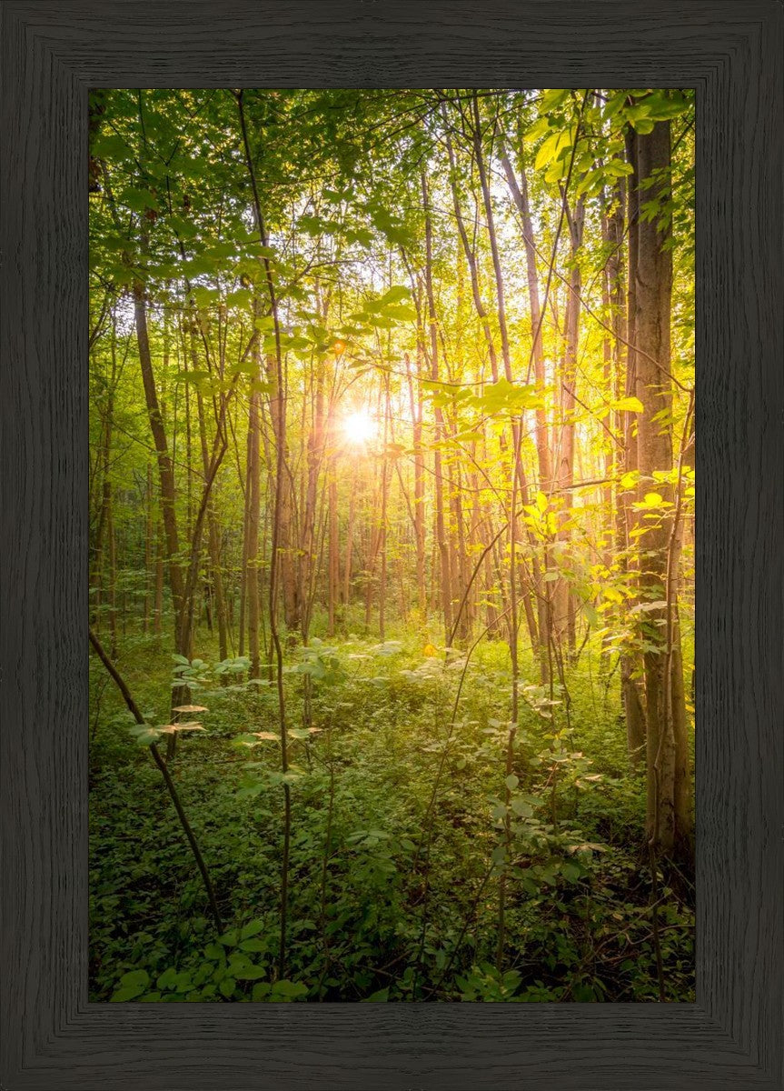 Sweet Hour of Prayer