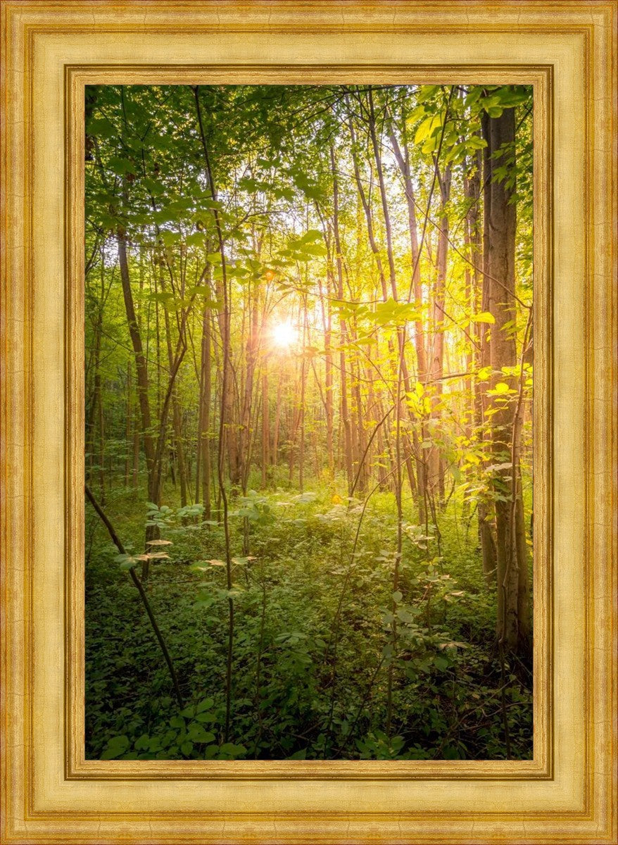 Sweet Hour of Prayer