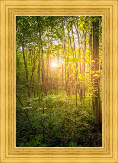 Sweet Hour of Prayer