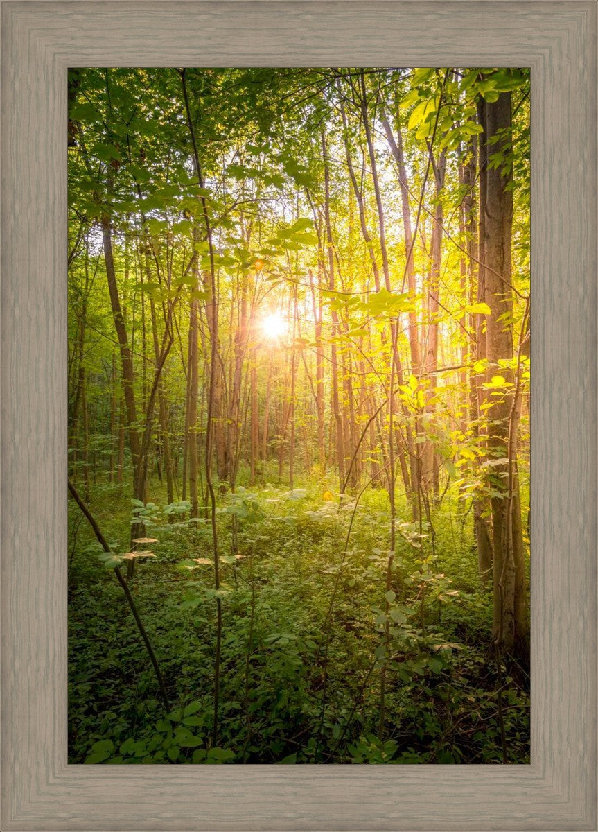 Sweet Hour of Prayer