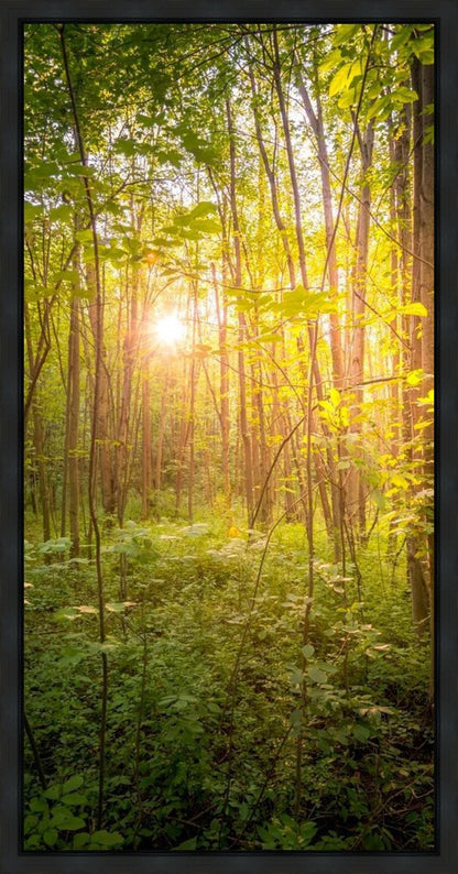 Sweet Hour of Prayer