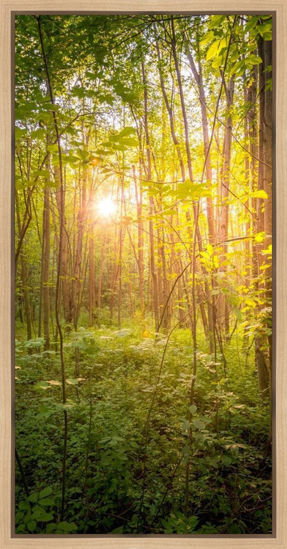 Sweet Hour of Prayer