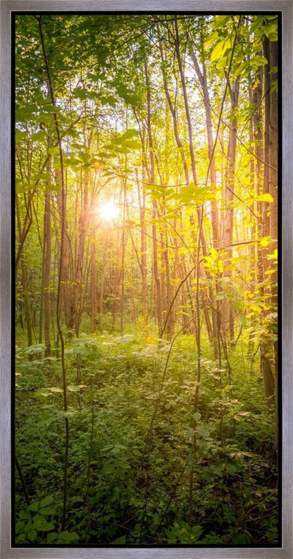 Sweet Hour of Prayer