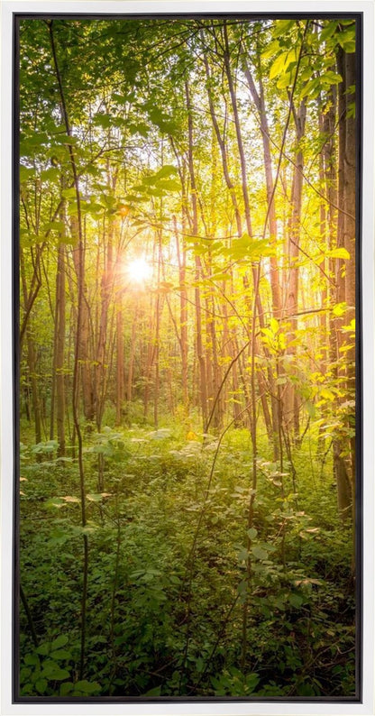 Sweet Hour of Prayer