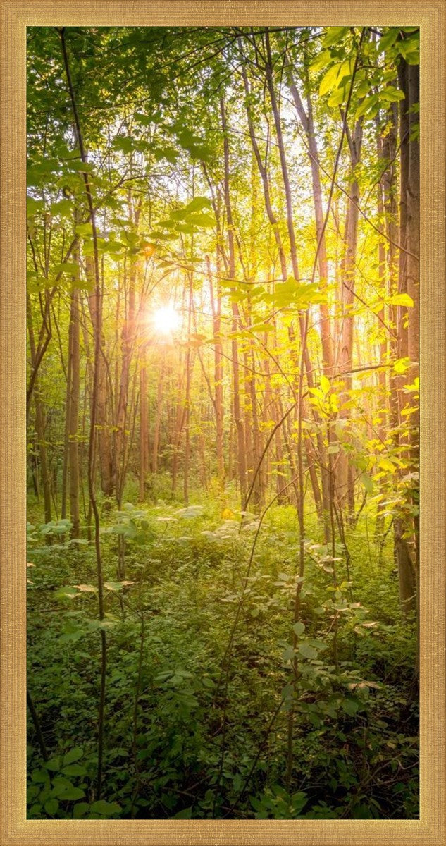 Sweet Hour of Prayer