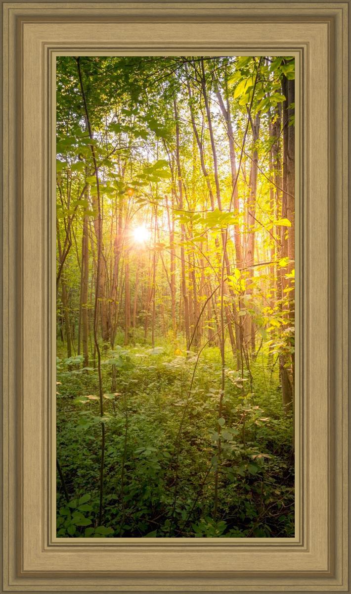 Sweet Hour of Prayer