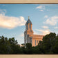 Cedar City Temple Juniper