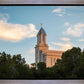 Cedar City Temple Juniper