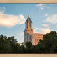 Cedar City Temple Juniper