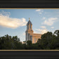 Cedar City Temple Juniper