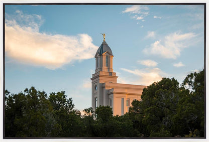 Cedar City Temple Juniper