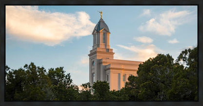 Cedar City Temple Juniper