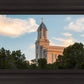 Cedar City Temple Juniper
