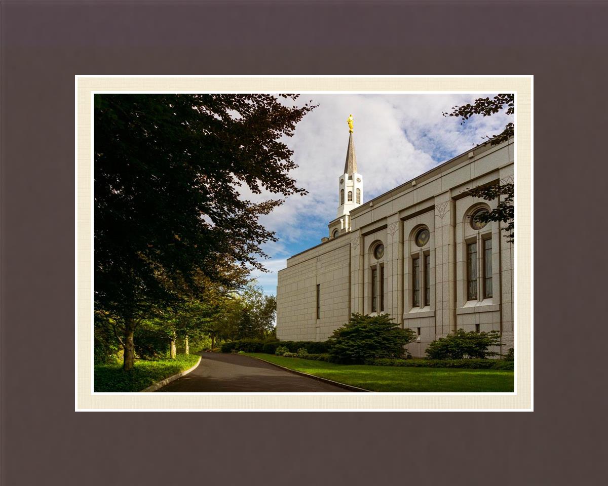 Boston Temple Trees Of Life