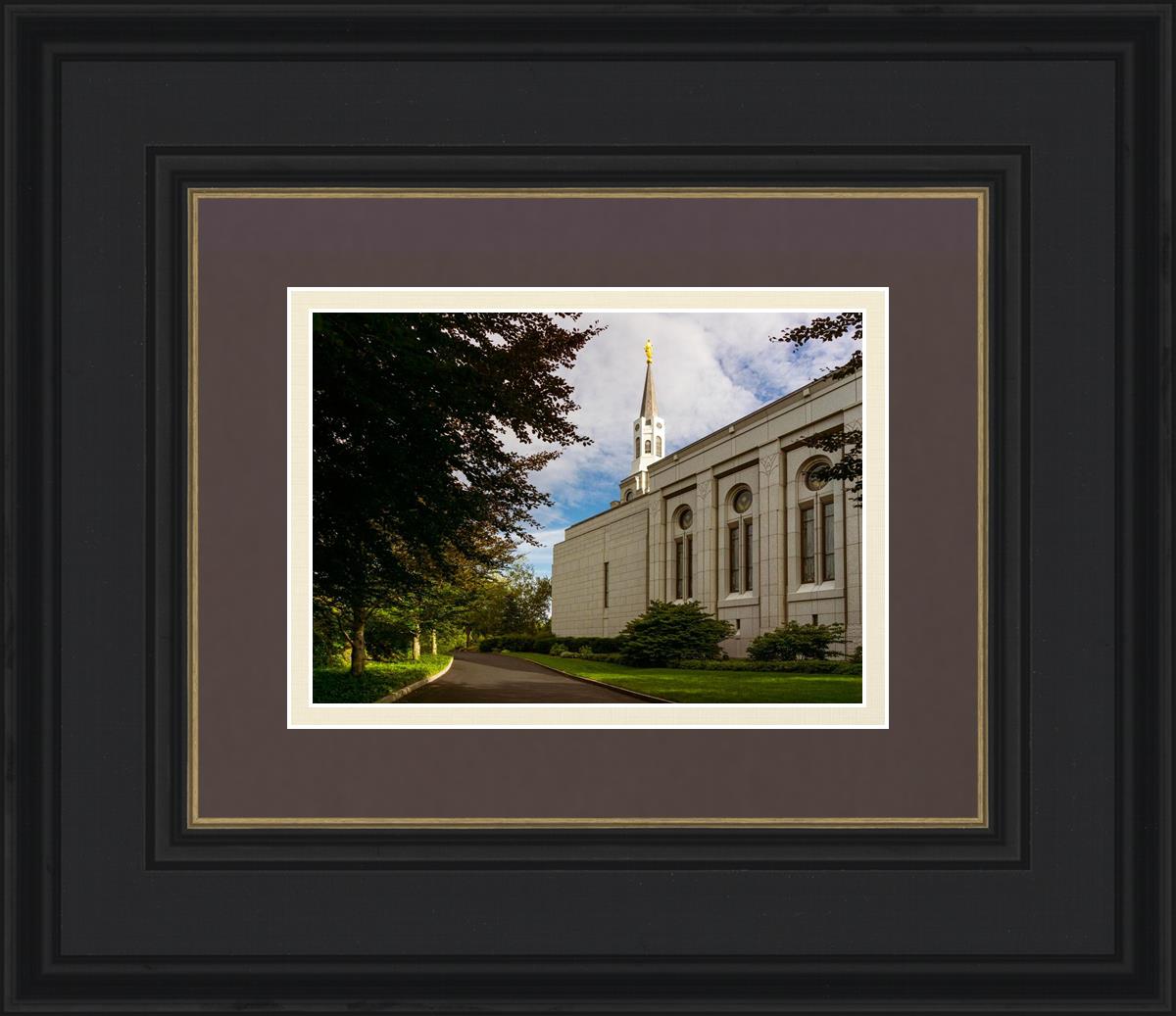 Boston Temple Trees Of Life