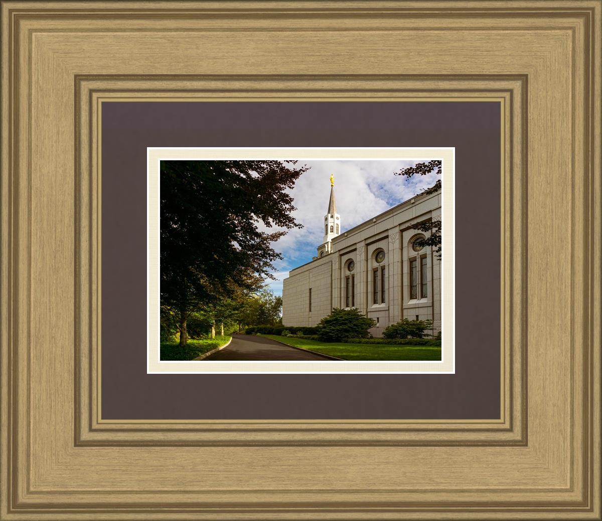 Boston Temple Trees Of Life