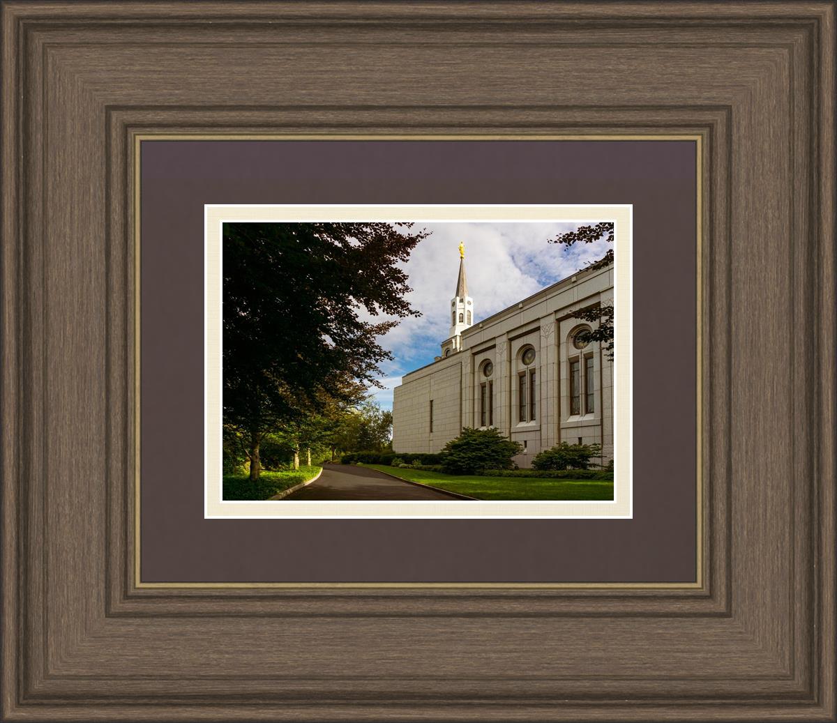 Boston Temple Trees Of Life