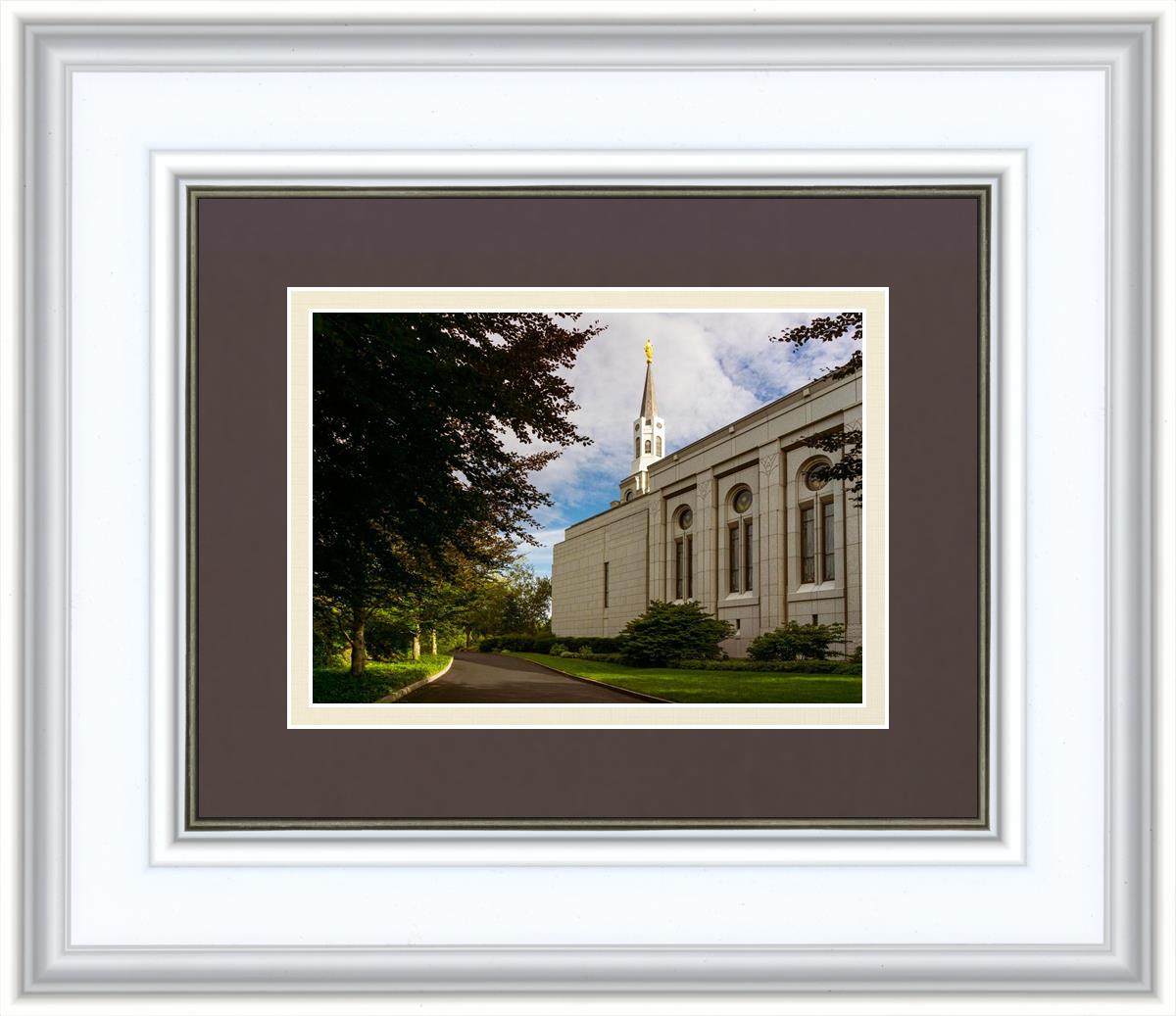 Boston Temple Trees Of Life