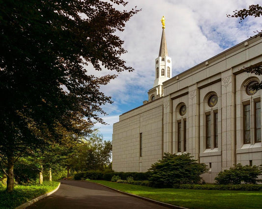 Boston Temple Trees Of Life Gallery Wrap