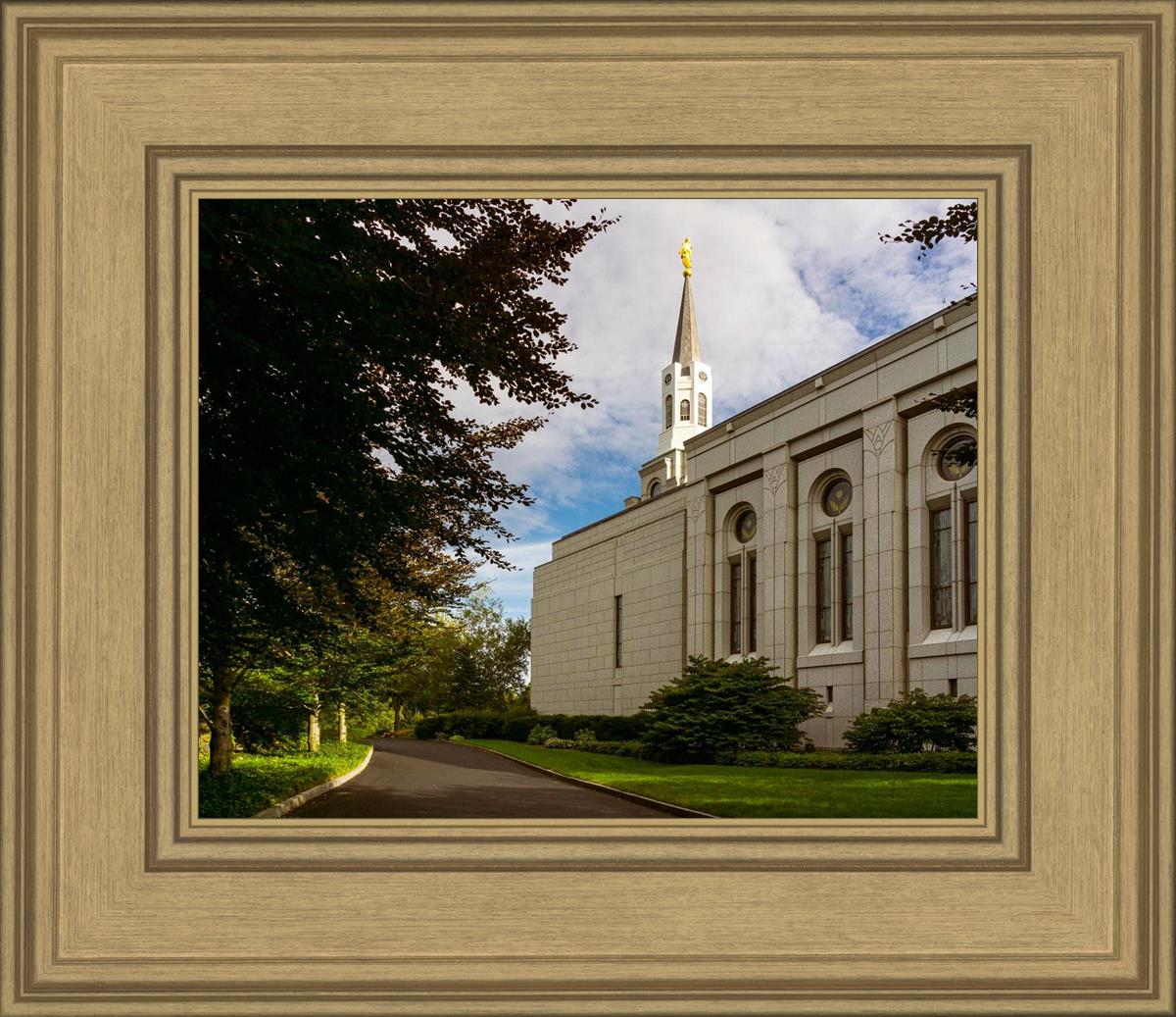 Boston Temple Trees Of Life