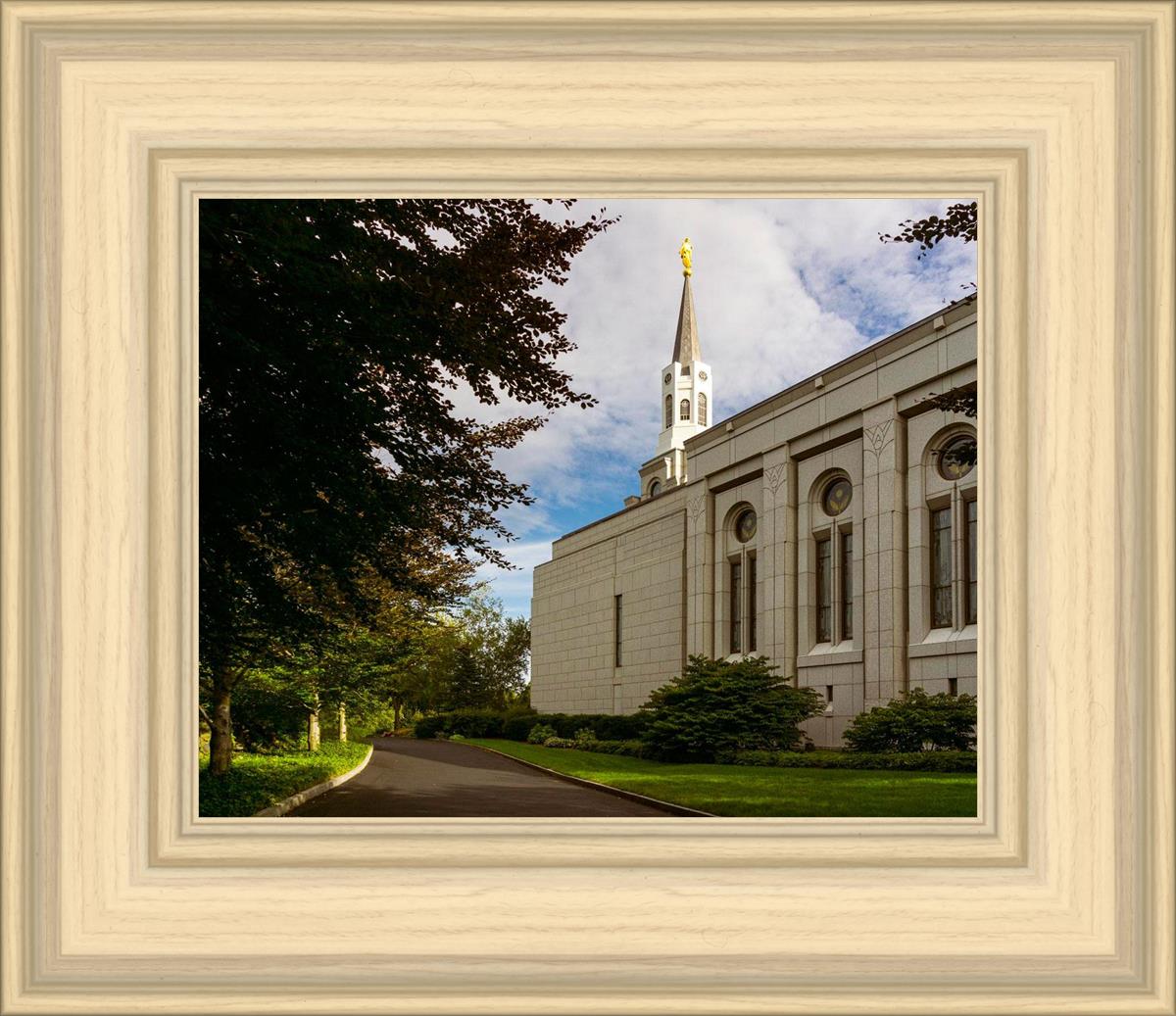 Boston Temple Trees Of Life