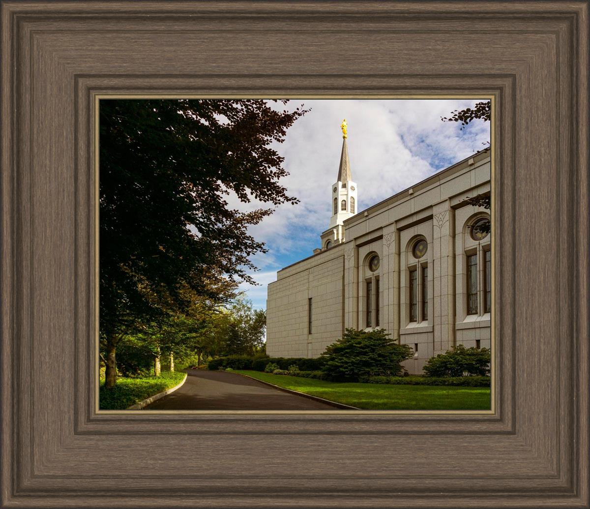 Boston Temple Trees Of Life