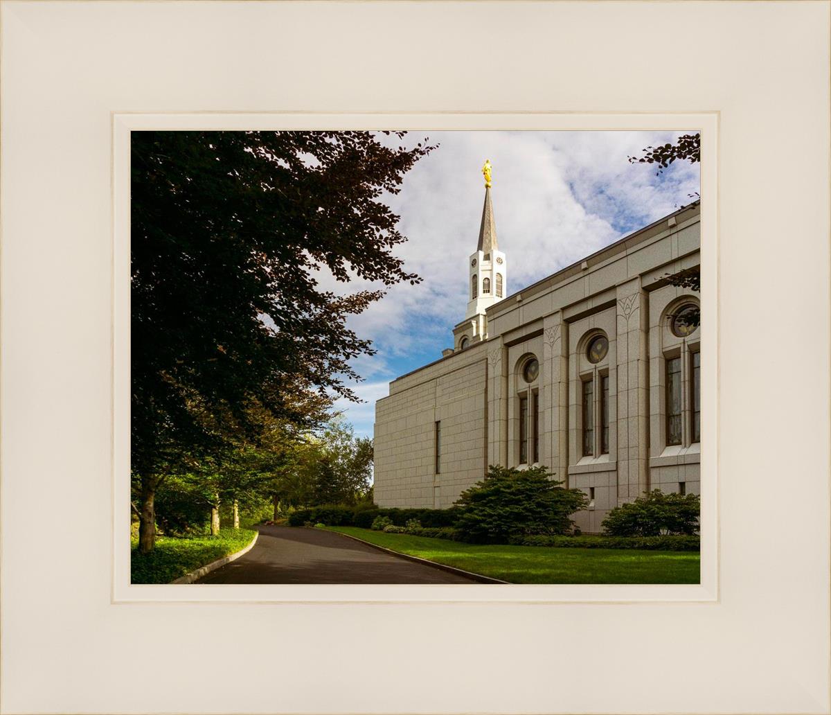 Boston Temple Trees Of Life