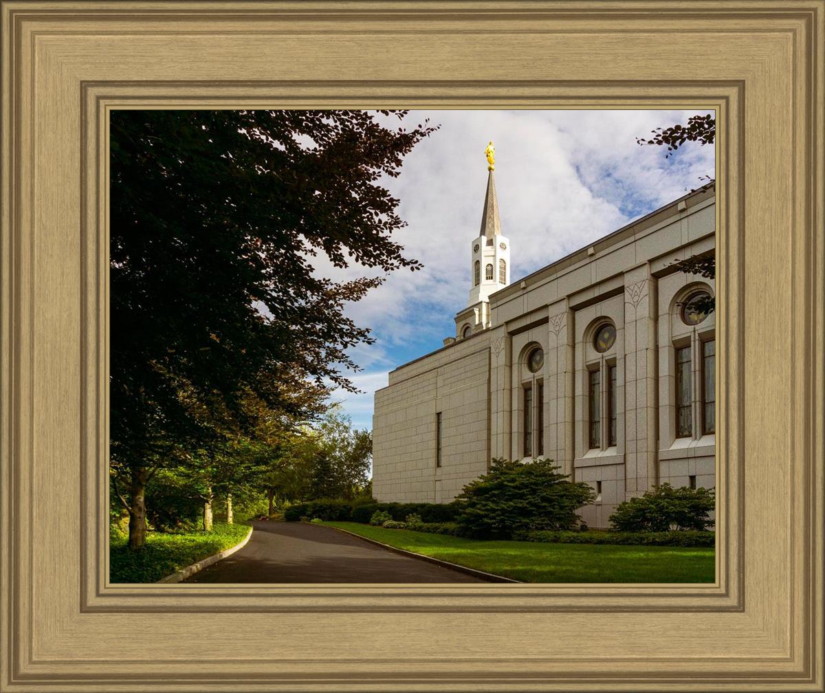 Boston Temple Trees Of Life