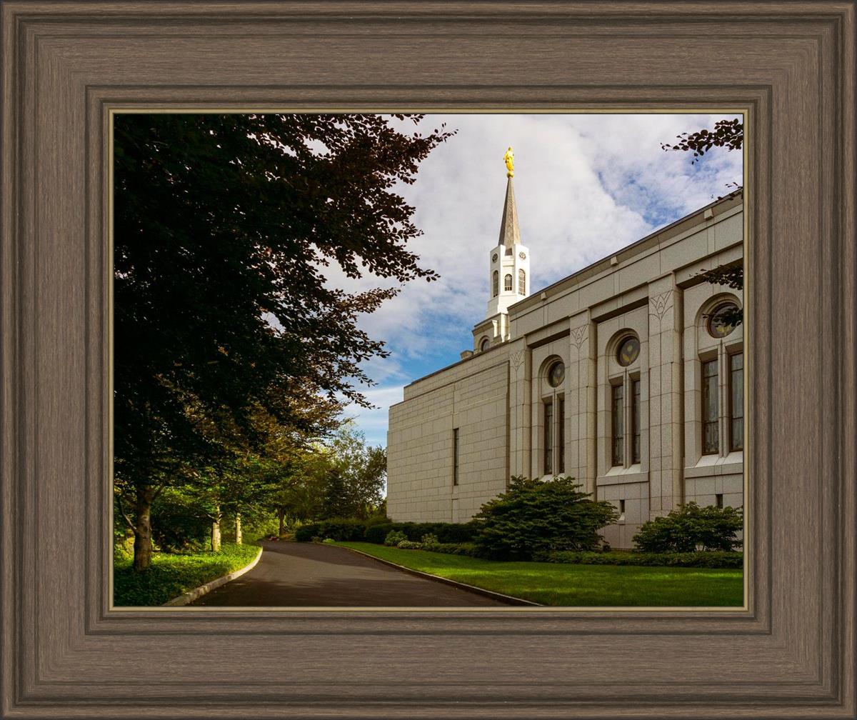 Boston Temple Trees Of Life