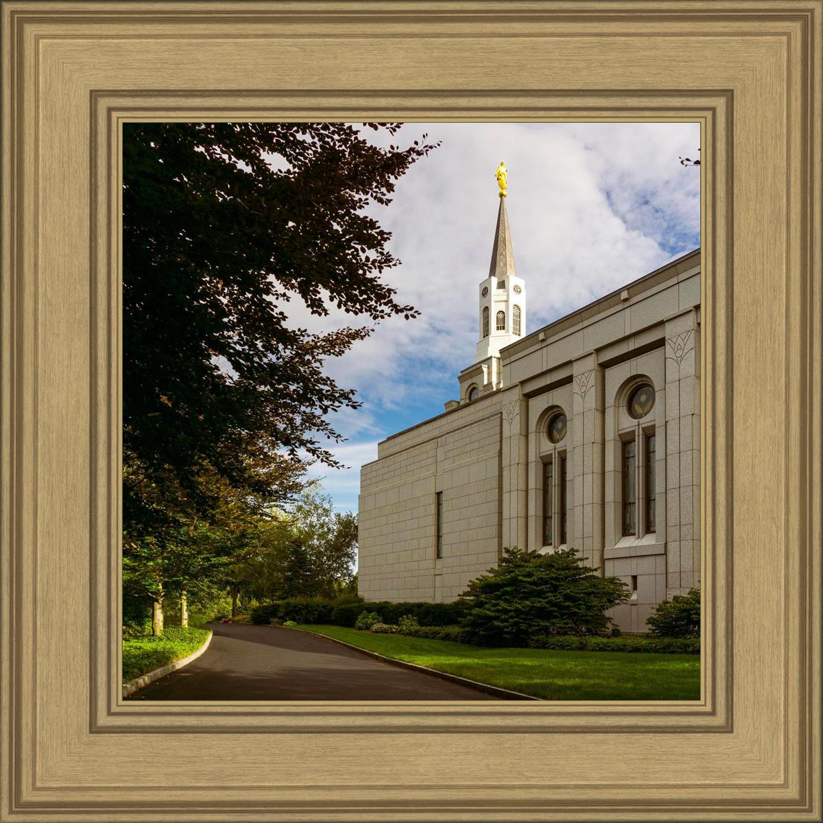 Boston Temple Trees Of Life