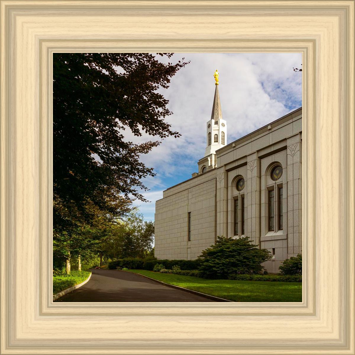 Boston Temple Trees Of Life