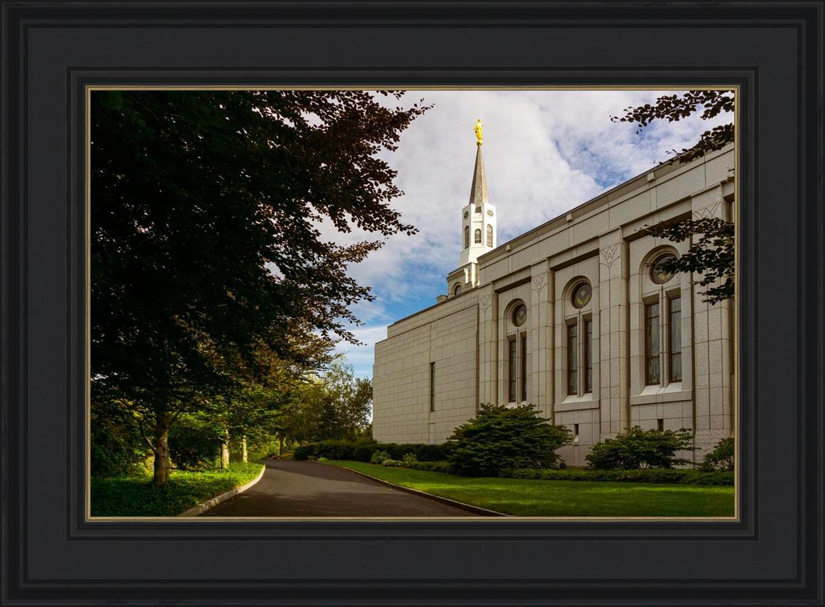 Boston Temple Trees Of Life
