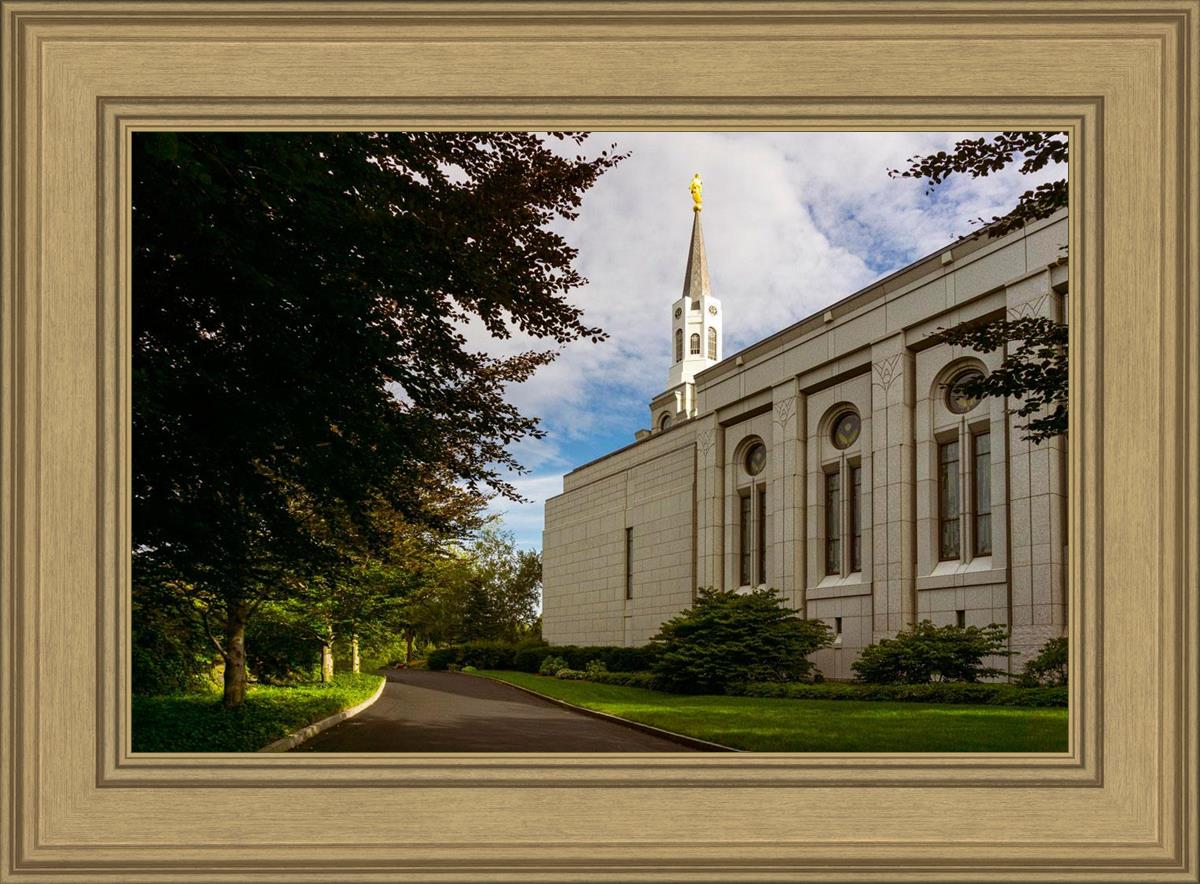 Boston Temple Trees Of Life