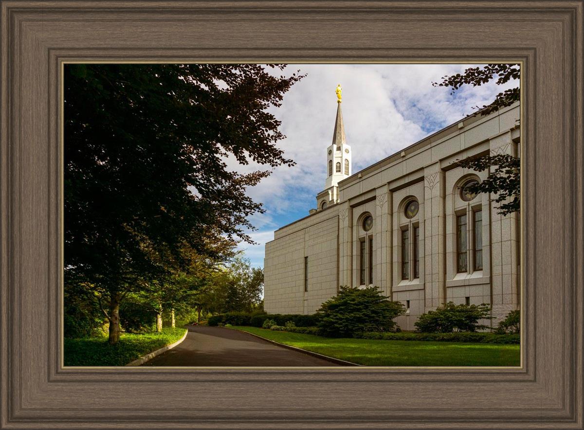 Boston Temple Trees Of Life
