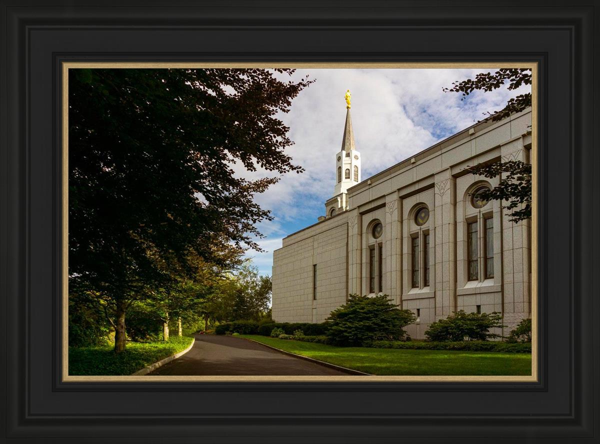 Boston Temple Trees Of Life