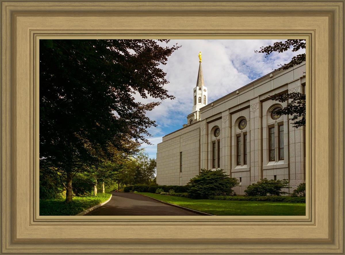 Boston Temple Trees Of Life