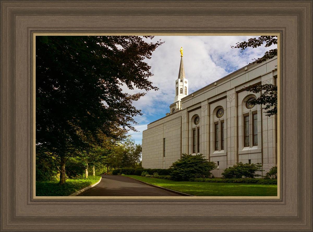 Boston Temple Trees Of Life