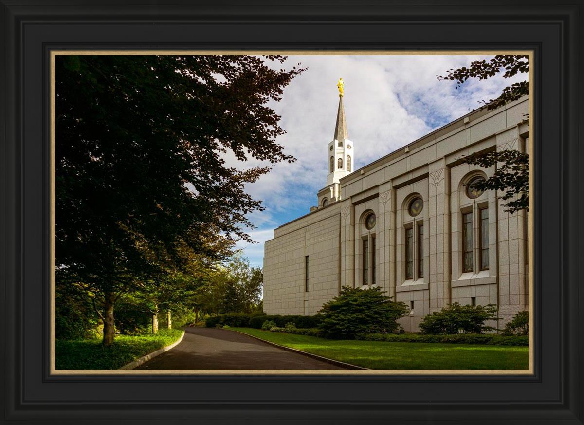 Boston Temple Trees Of Life