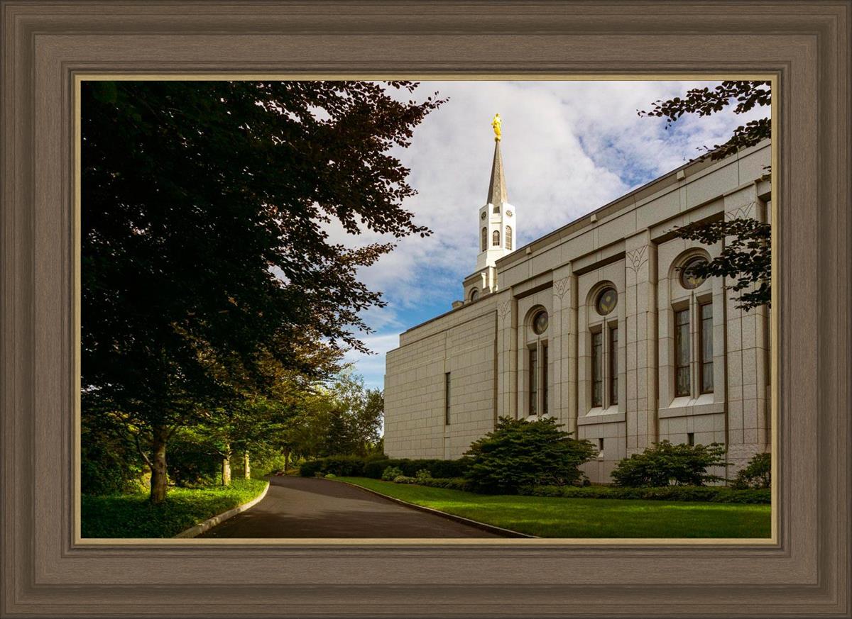 Boston Temple Trees Of Life