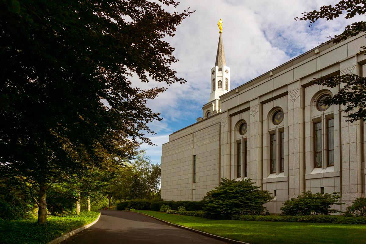 Boston Temple Trees Of Life