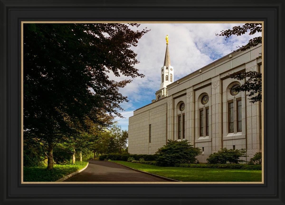 Boston Temple Trees Of Life