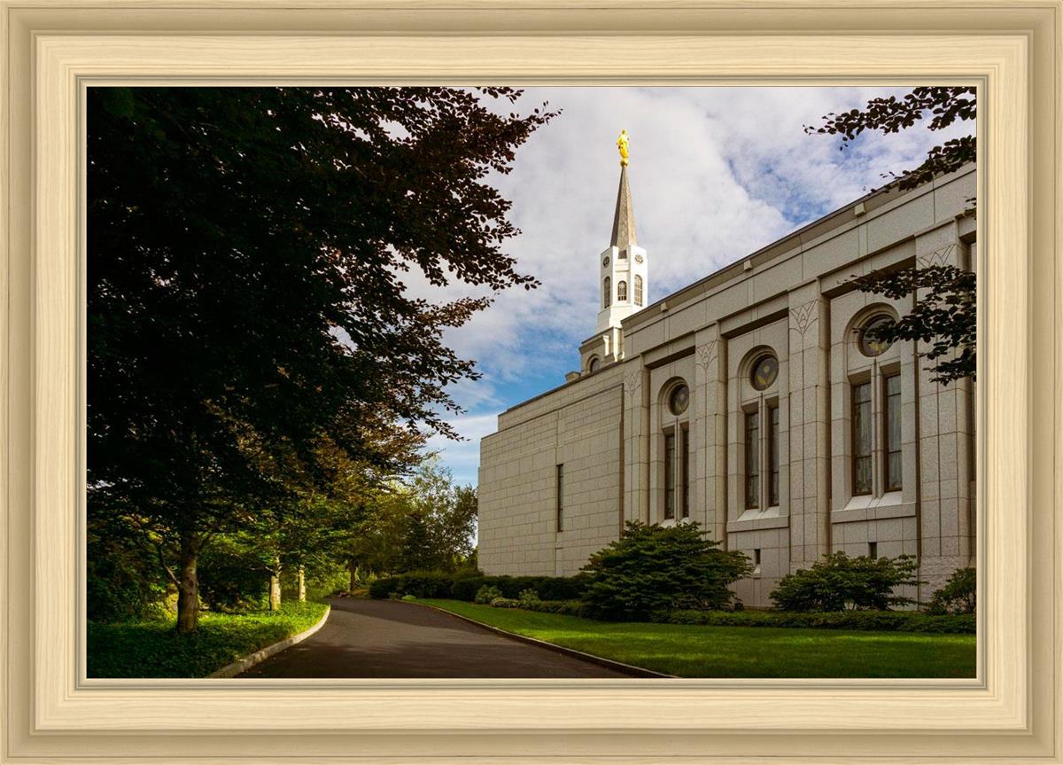 Boston Temple Trees Of Life