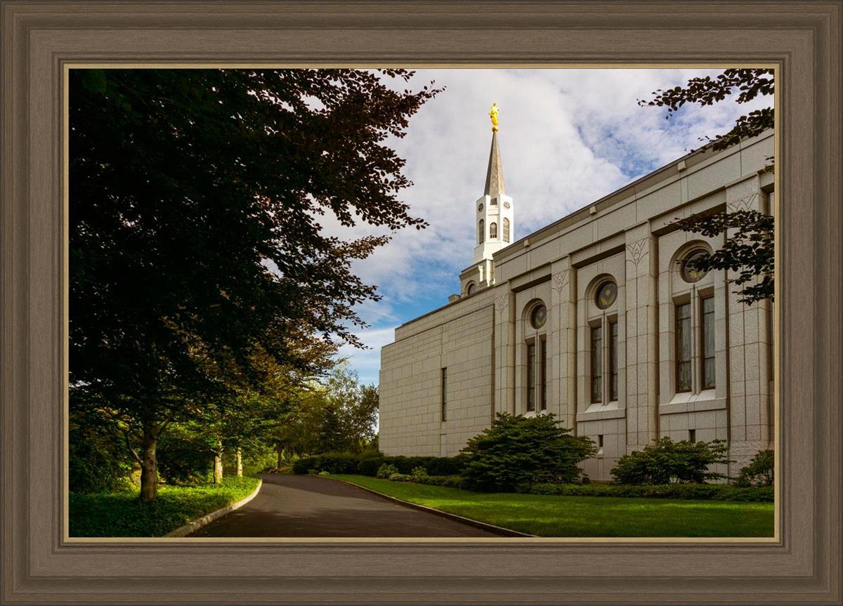 Boston Temple Trees Of Life