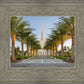 Gilbert Temple Pathway