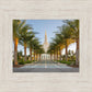 Gilbert Temple Pathway
